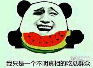 内涵吃瓜网,揭秘网络热词“内涵吃瓜”背后的趣味与内涵