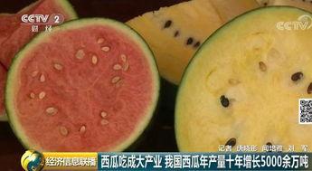世界上最大的吃瓜视频网,揭秘热门事件背后的真相与笑料