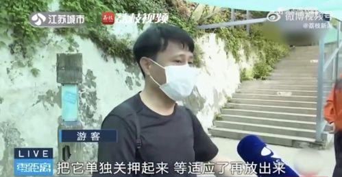 网红吃瓜兄妹是谁