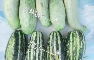 网红吃自己的瓜