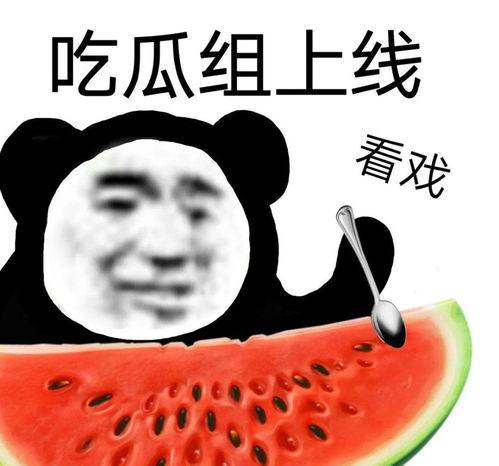 吃瓜网奇葩,奇葩事件背后的惊人真相