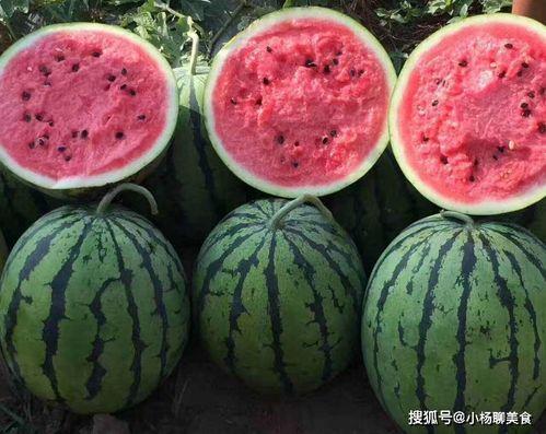 免费吃瓜网官方网站,揭秘娱乐圈幕后故事，带你畅游娱乐资讯海洋