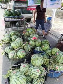 扬州网红事件吃瓜