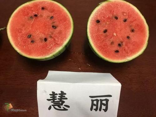 吃瓜网福利吧,揭秘热门福利活动,带你畅享网络盛宴!