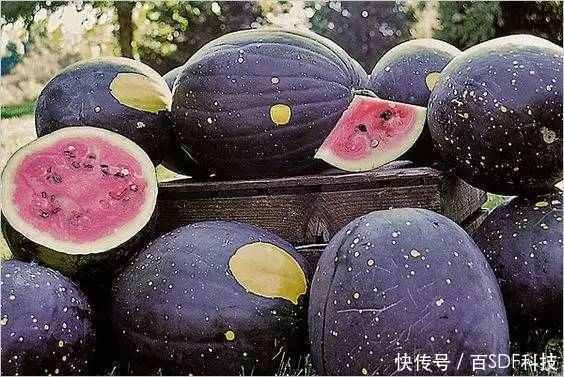 广艺网红吃瓜,揭秘娱乐圈幕后故事